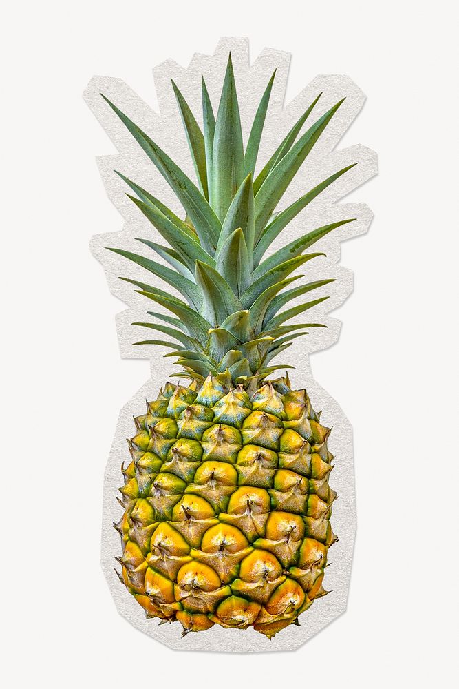 Fresh pineapple tropical fruit paper element with white border