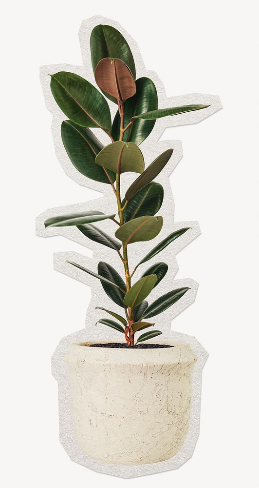  Air-purifying plant  paper element with white border 
