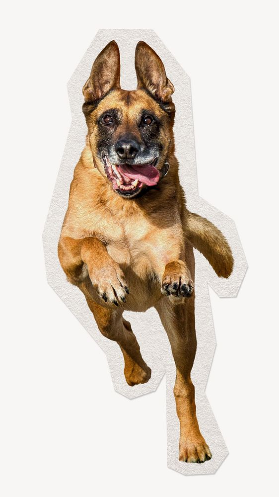 Running German Shepherd dog paper element with white border