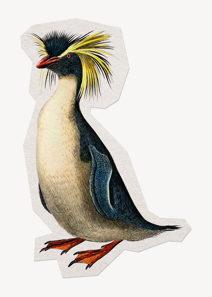 Vintage rockhopper penguin bird paper element with white border 