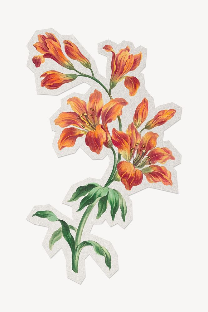 Orange lily floral paper cut isolated design. Remixed by rawpixel.