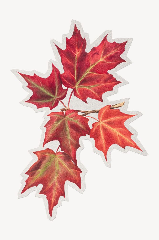 Red maples paper cut isolated design