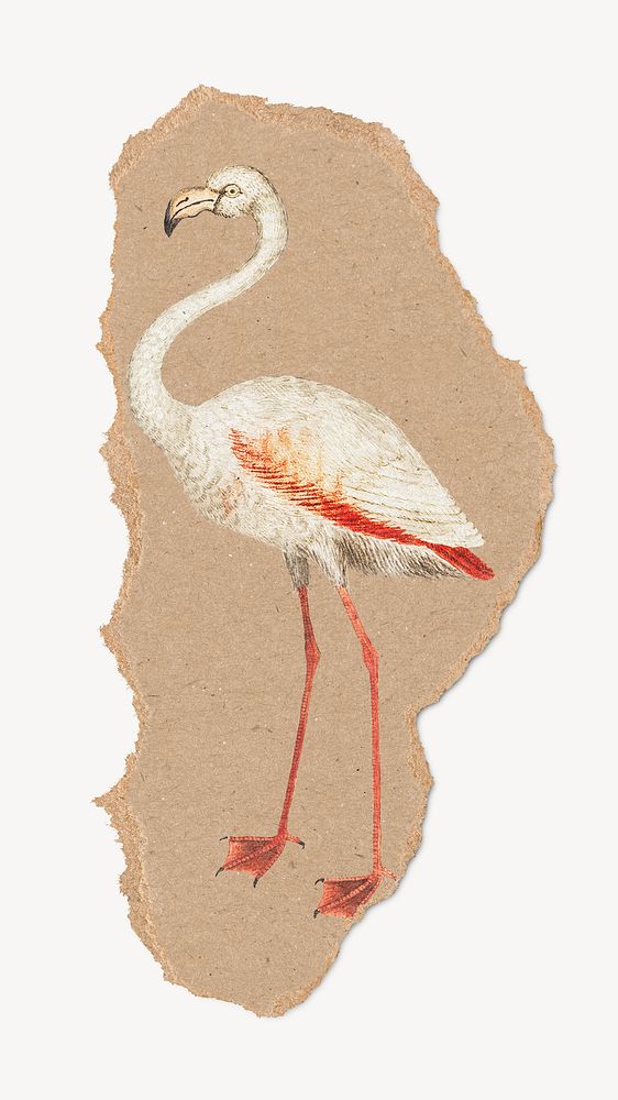 Vintage flamingo illustration, ripped paper. Remixed by rawpixel.