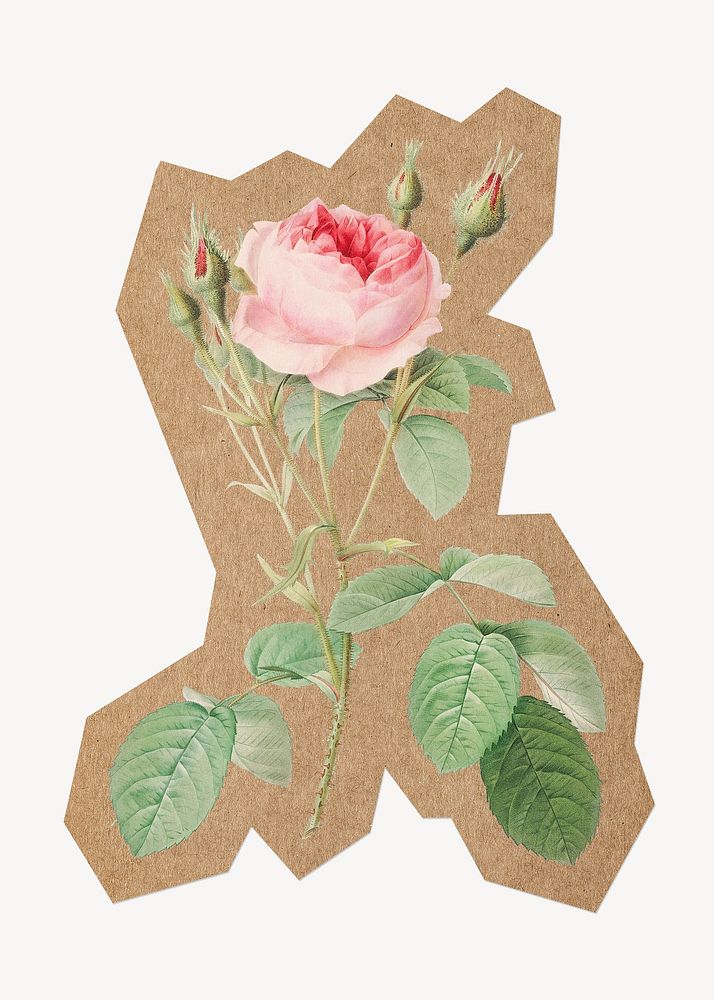 Vintage pink rose, cut out paper element. Artwork from Pierre Joseph Redouté remixed by rawpixel.
