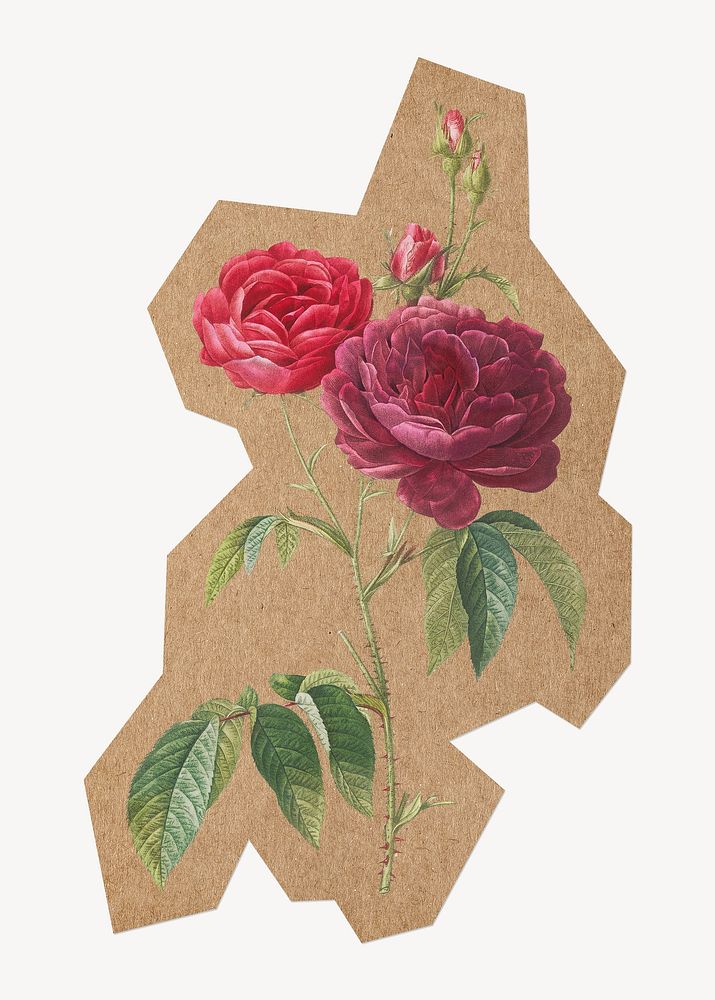 Purple French rose, cut out paper element. Artwork from Pierre Joseph Redouté remixed by rawpixel.