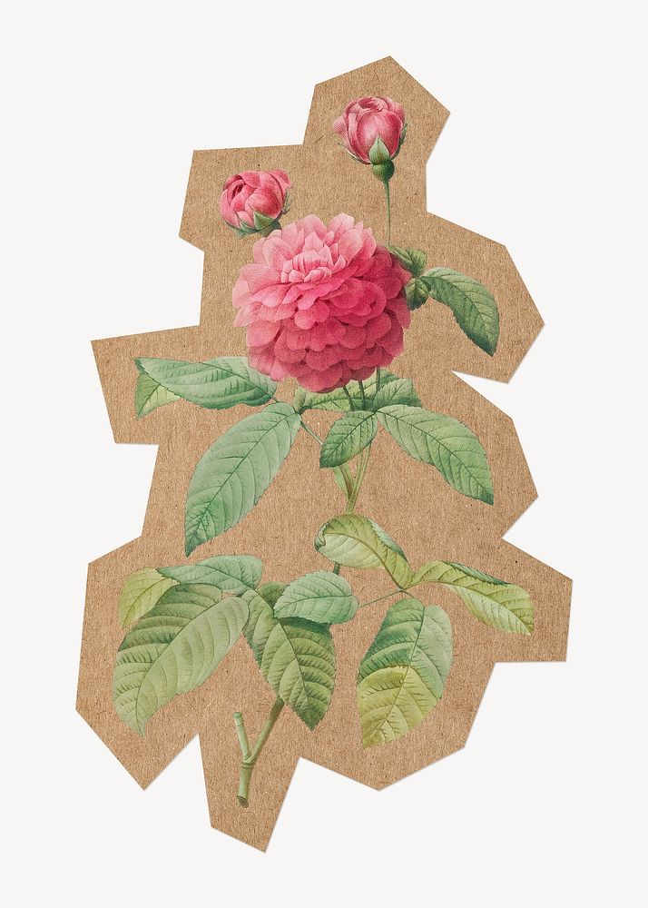 Vintage flower illustration, cut out paper element. Artwork from Pierre Joseph Redouté remixed by rawpixel.