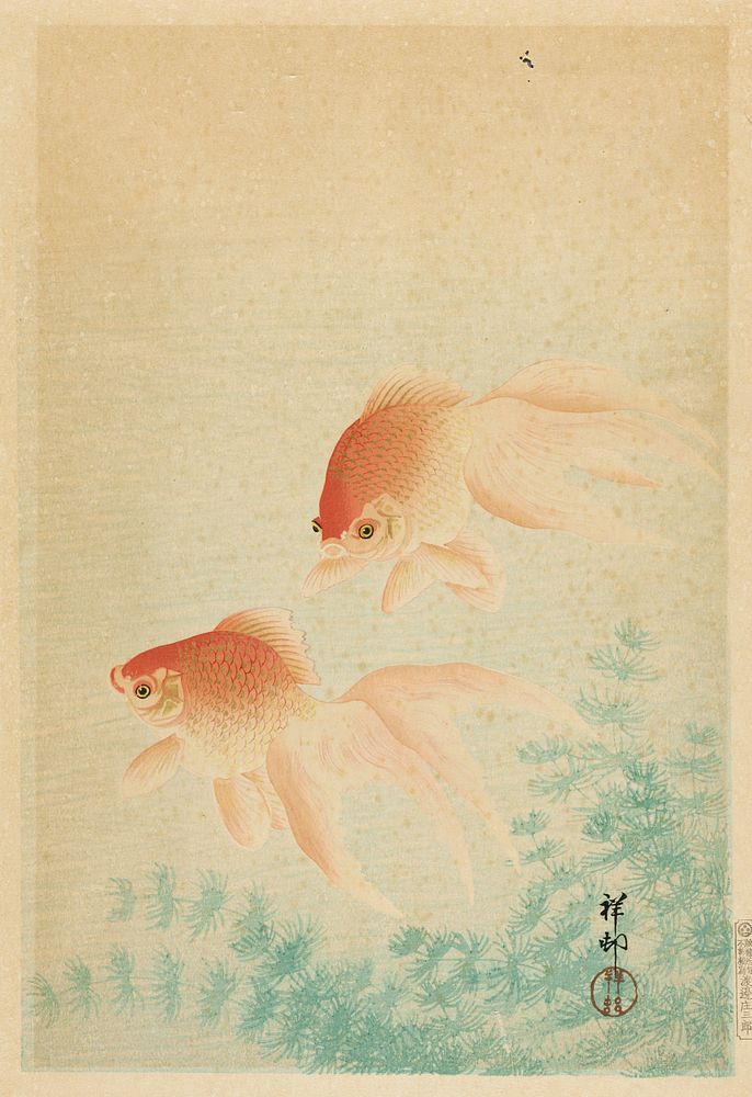Pair of Goldfish by Ohara Shōson