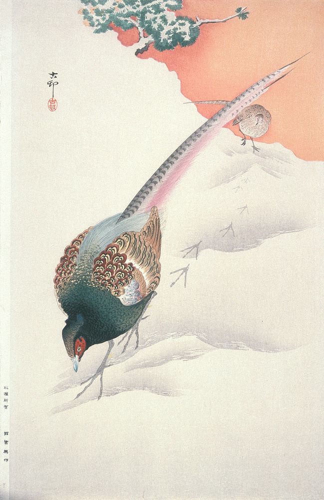 Pair of Pheasants in Snow by Ohara Shōson