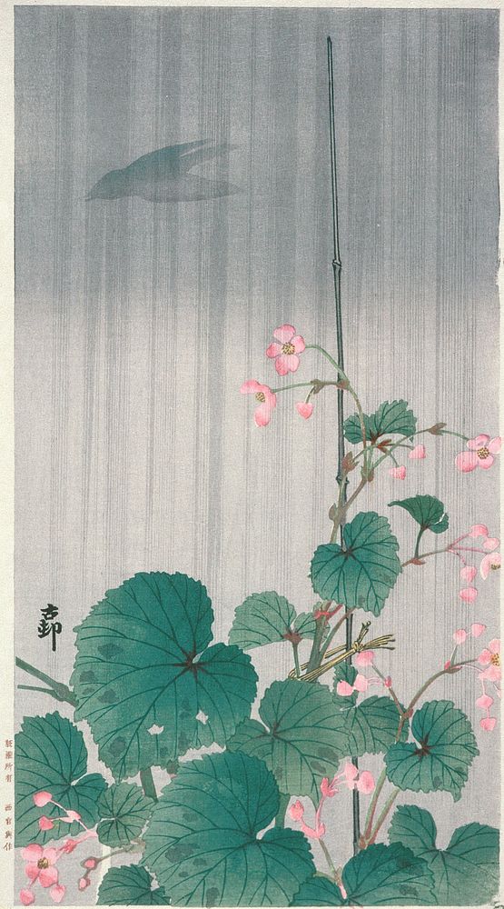 Begonias and Cuckoo in the Rain by Ohara Shōson
