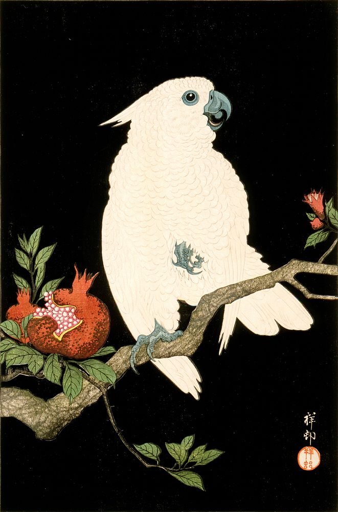 Cockatoo and Pomegranate by Ohara Shōson
