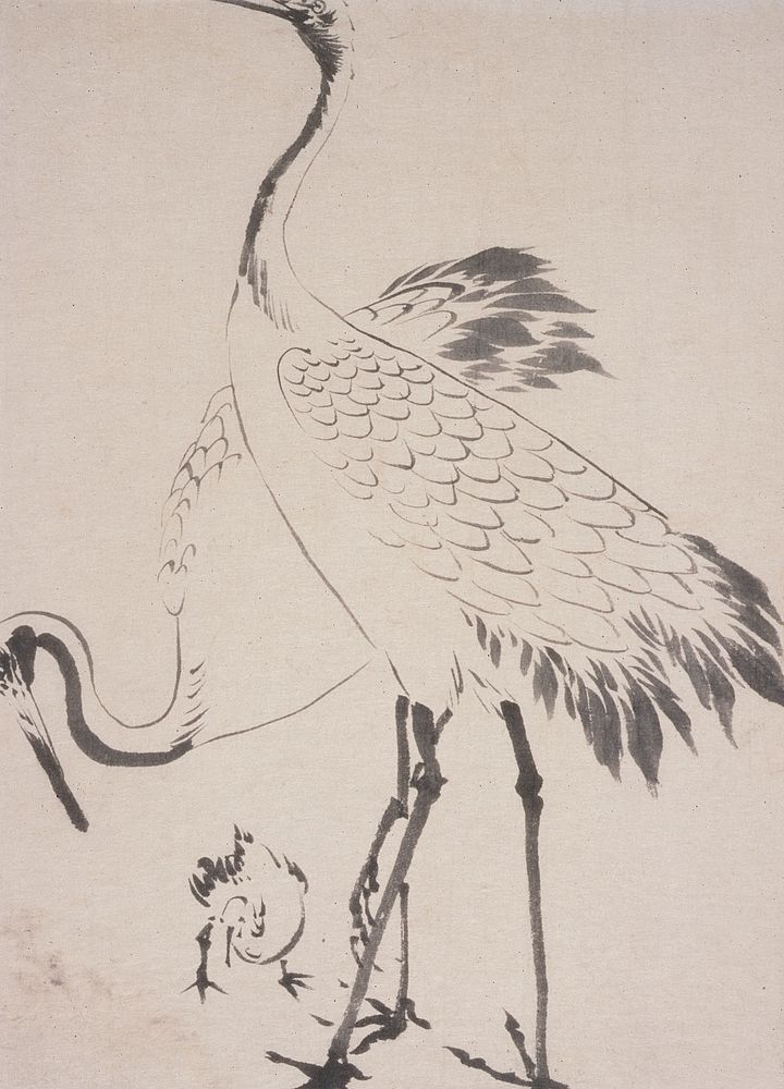 Sketch of Two Cranes with Chick by Anonymous