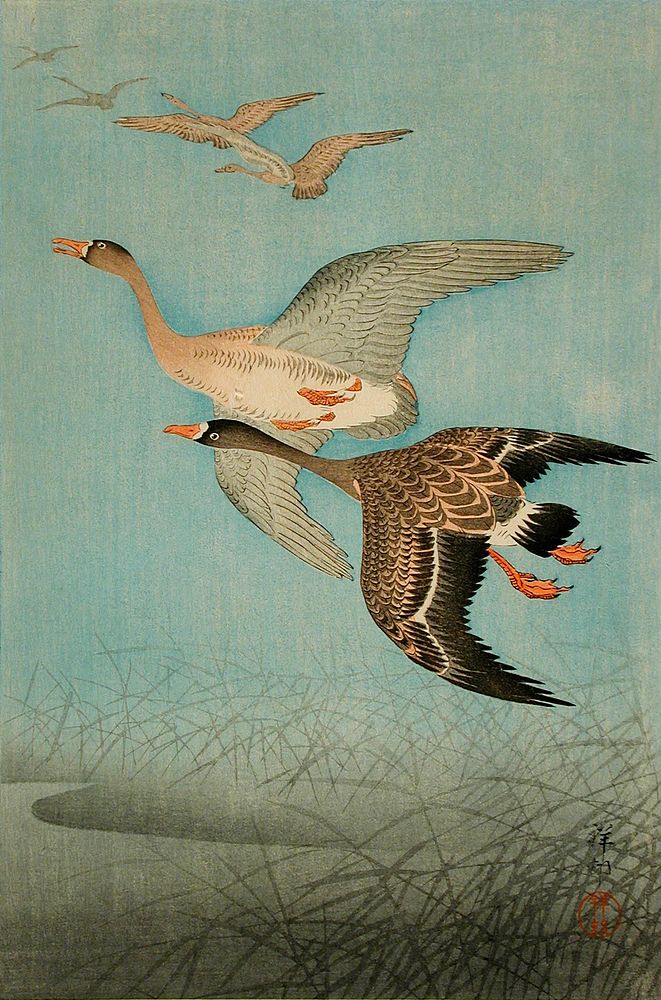 Flying Geese by Ohara Shōson