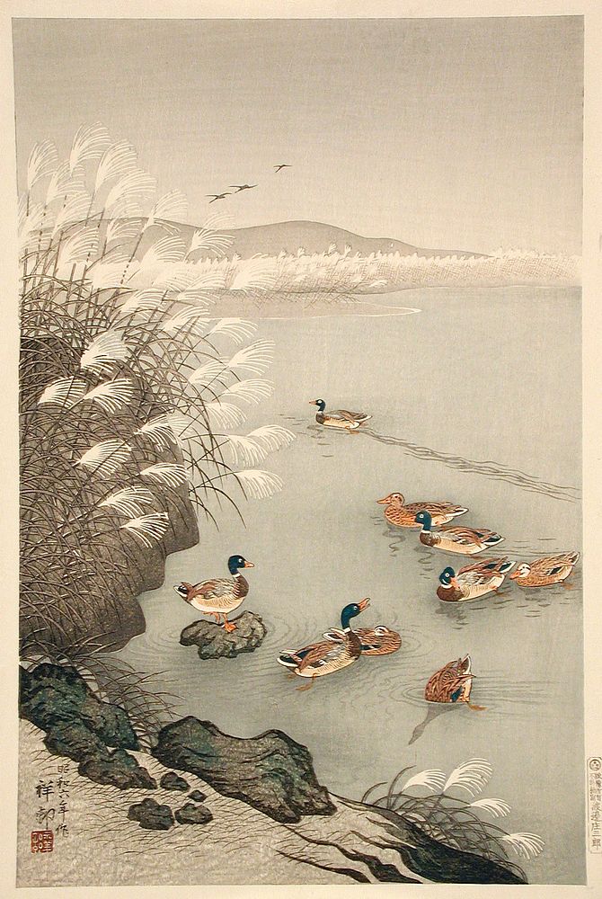 Mallard Ducks Swimming by Pampas Grass by Ohara Shōson