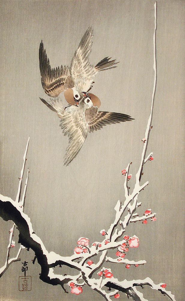 Sparrows and Plum Blossoms by Ohara Shōson