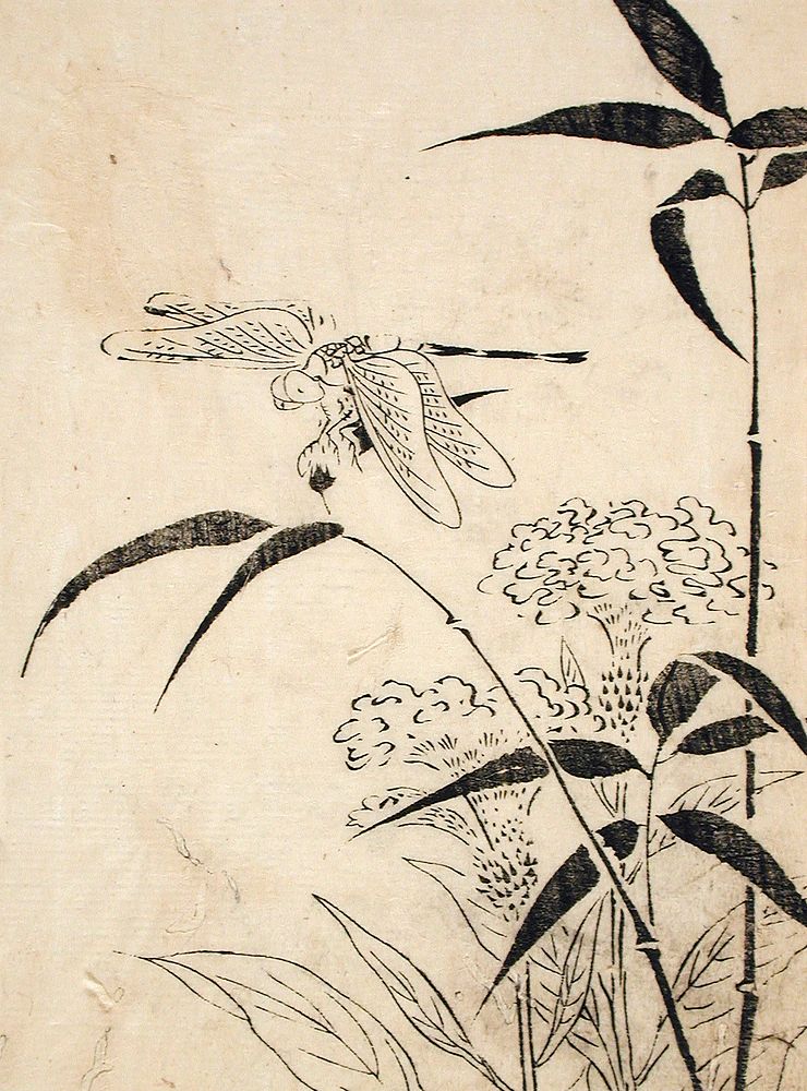 Dragonfly, Coxcomb and Bamboo by Miyazaki Yūzen