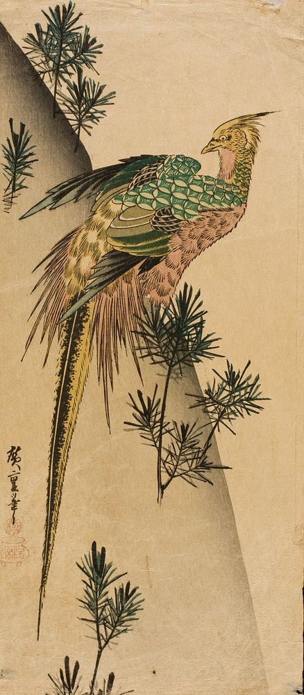 Pheasant amid Pine Shoots by Utagawa Hiroshige