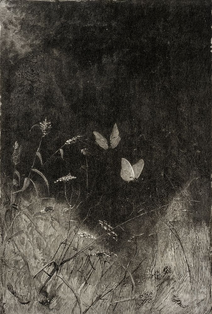 Butterflies by William Baxter Closson