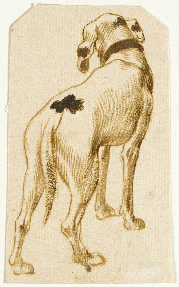 Set of Three Studies of Dogs by Frans Snyders
