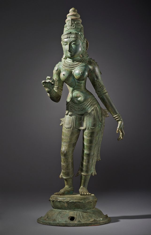 The Hindu Goddess Bhudevi