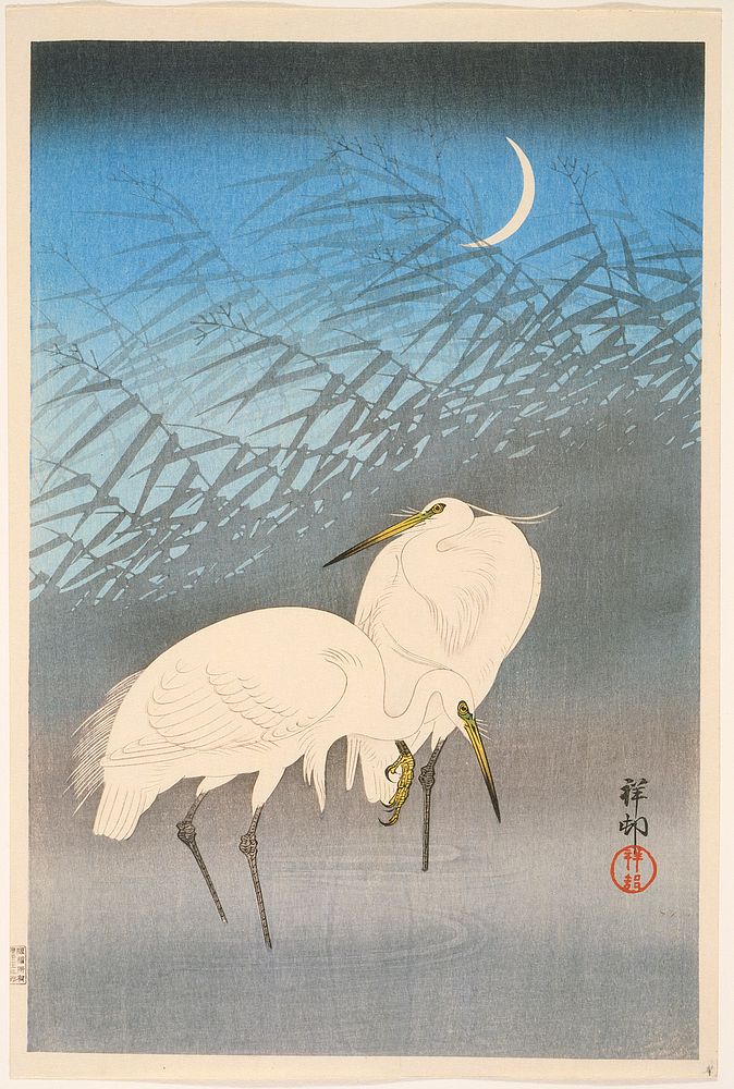 Egrets and Reeds in Moonlight by Ohara Shōson