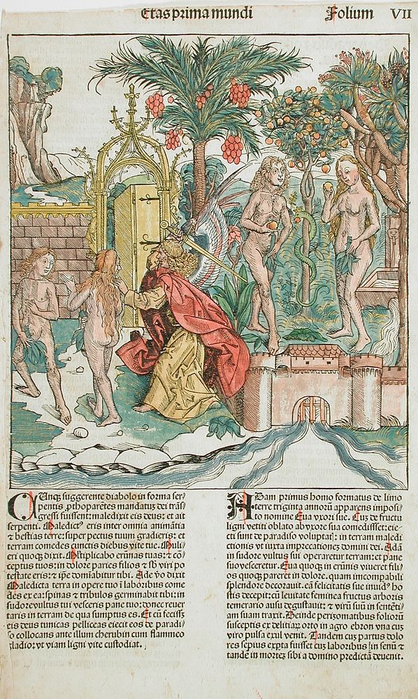 The Fall and Expulsion of Adam and Eve from Paradise by Michel Wolgemut