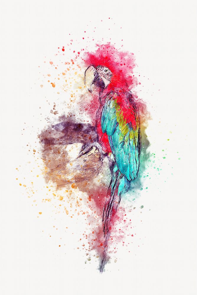 Parrot painting, isolated object