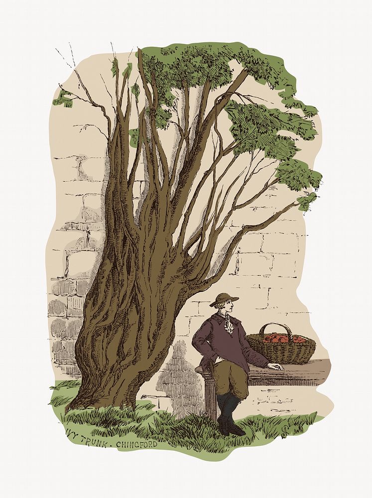 Tree illustration, vintage aesthetic