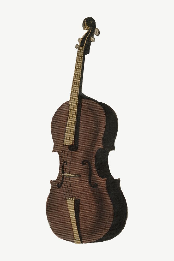 Viola violin vintage illustration, psd element