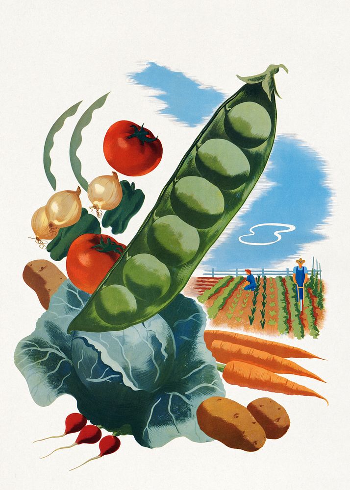 Vintage vegetables illustration by Morley, Hubert. Remixed by rawpixel.