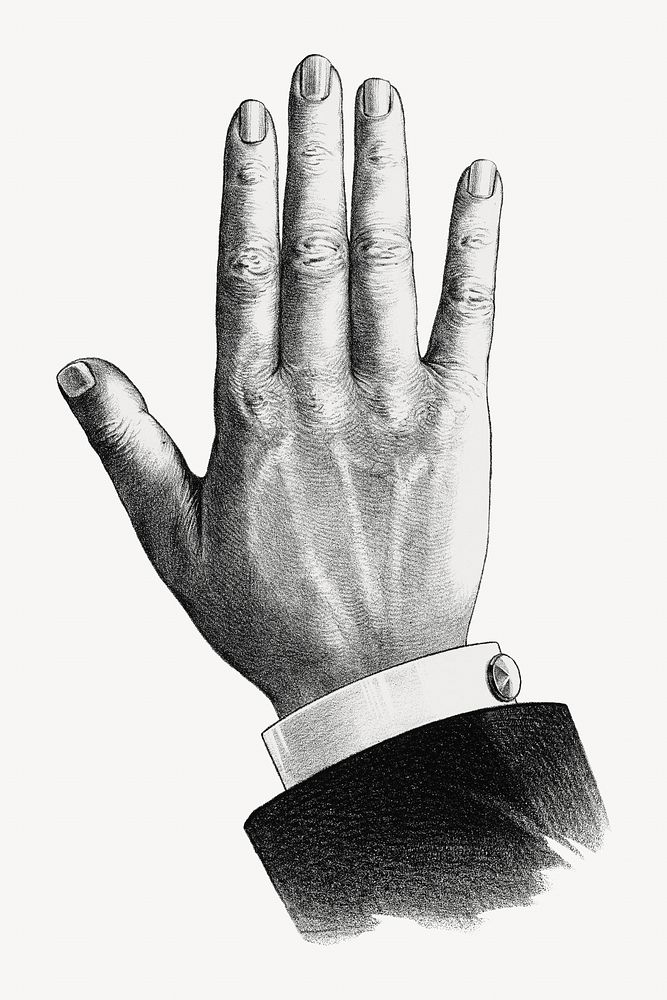 Businessman's hand, vintage gesture illustration. Remixed by rawpixel.