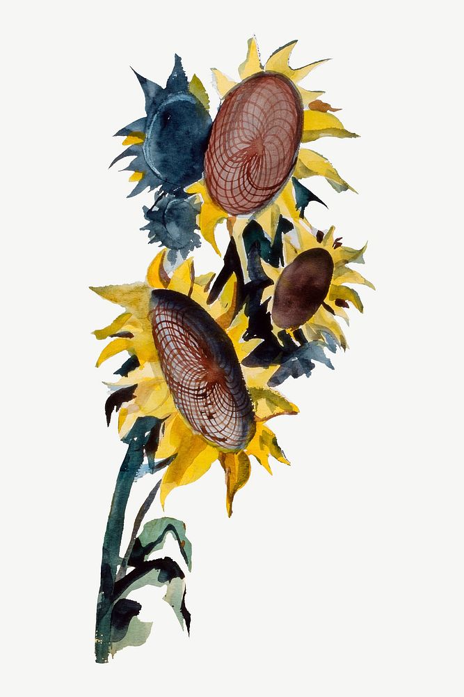 Sunflowers watercolor illustration element psd. Remixed from Robert Johnson artwork, by rawpixel.