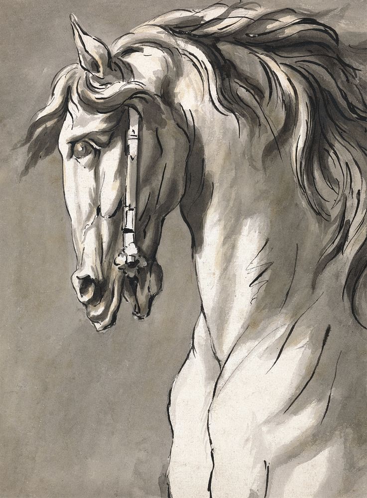 Study of a Horse's Head John Michael Rysbrack. Digitally enhanced by rawpixel.