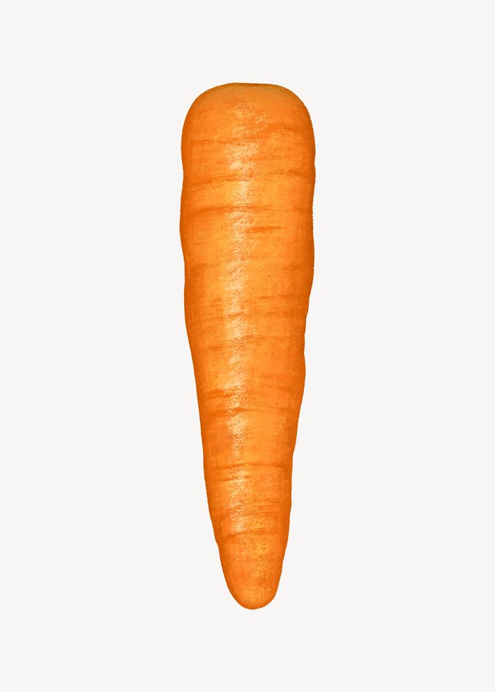 Carrot vegetable, healthy food illustration
