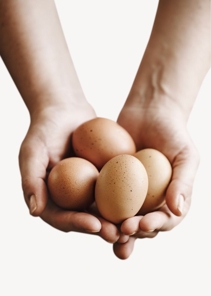 Brown organic free range eggs isolated image