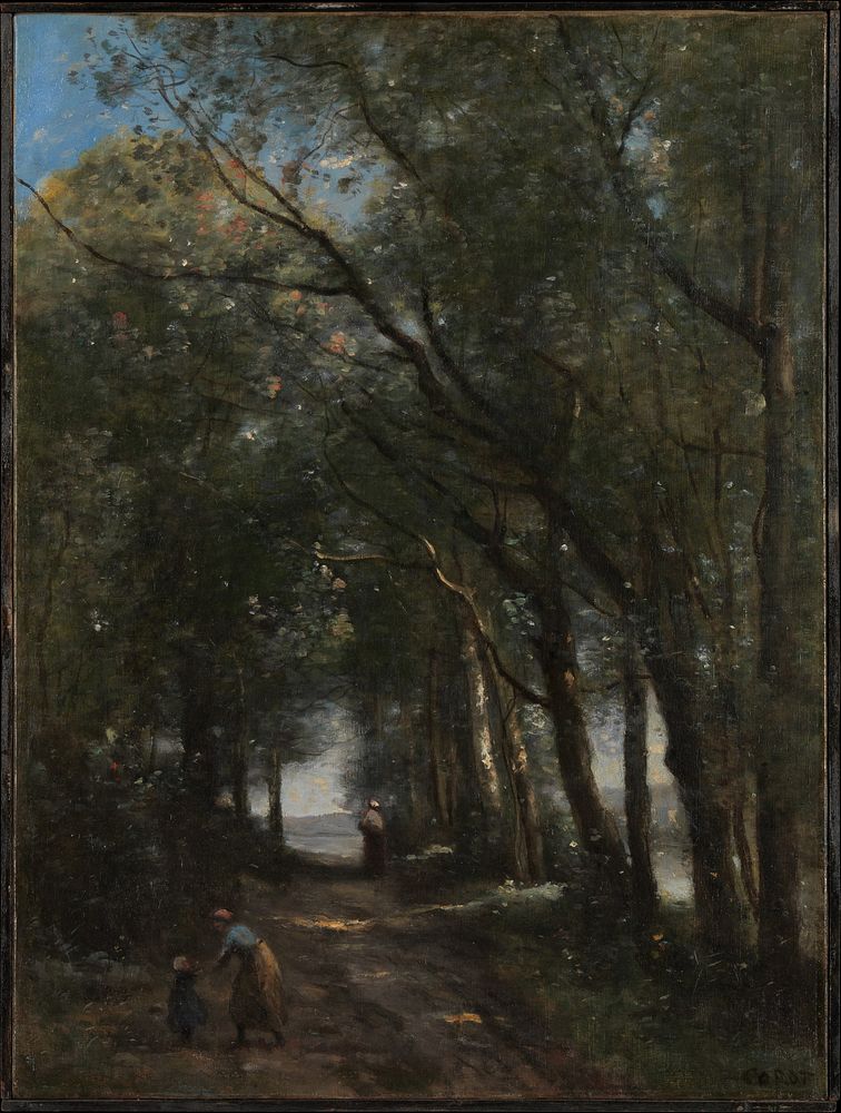 A Lane through the Trees