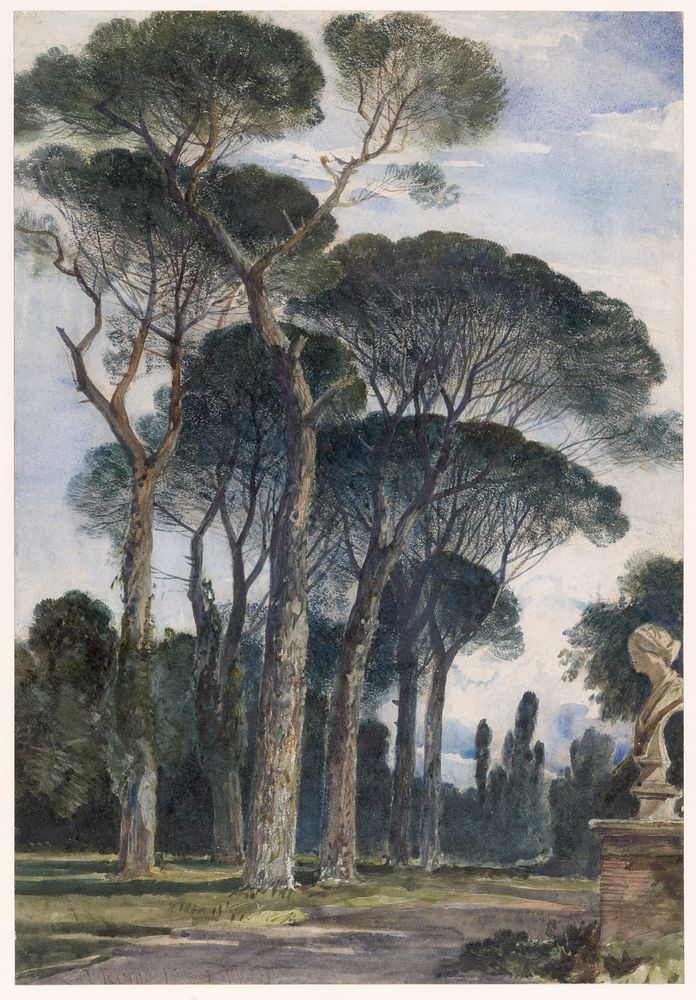 Umbrella Pines in the Villa Borghese, Rome by William James M&uuml;ller (British, Bristol 1812&ndash;1845 Bristol)