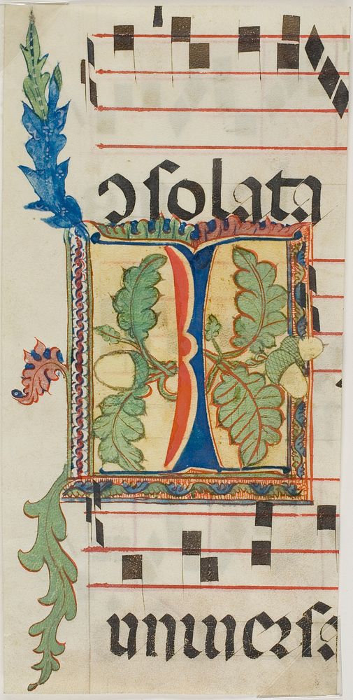 Decorated Initial "I" with Acorns and Leaves from a Choir Book