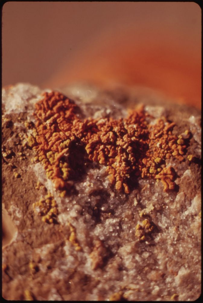 Lichens and Mineral Salt Crystals on a Rock in the Atigun Gorge, 5 Miles East of the Pipeline Crossing of the Atigun River…