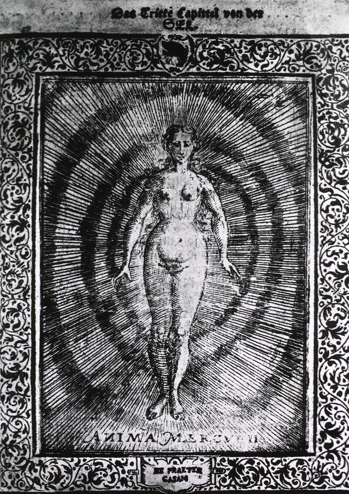 Anima Mercurii. A nude woman representing the spirit of mercury. Original public domain image from Flickr