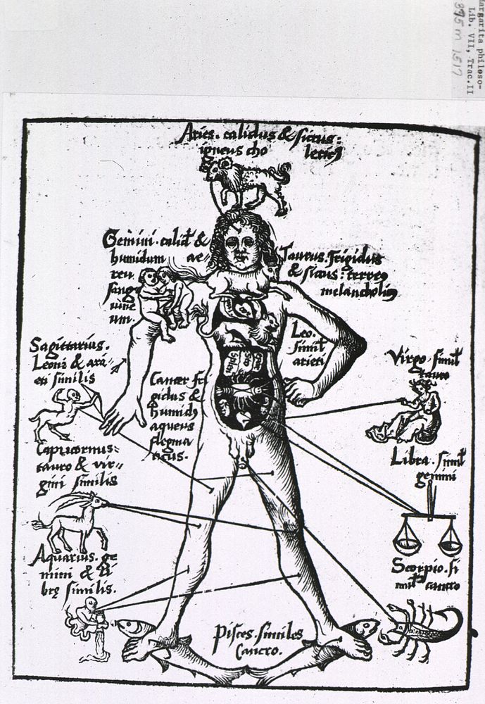 Astrological figures. The figure of a man with the signs of the zodiac connected to their corresponding body parts. The…