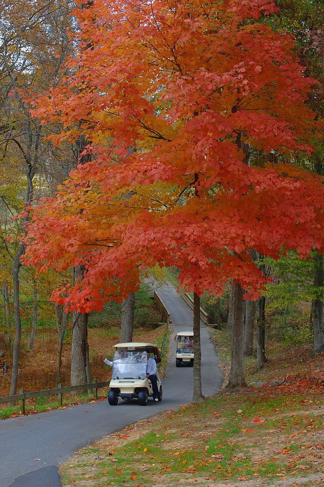 Oak Ridge Golf Fall 2007