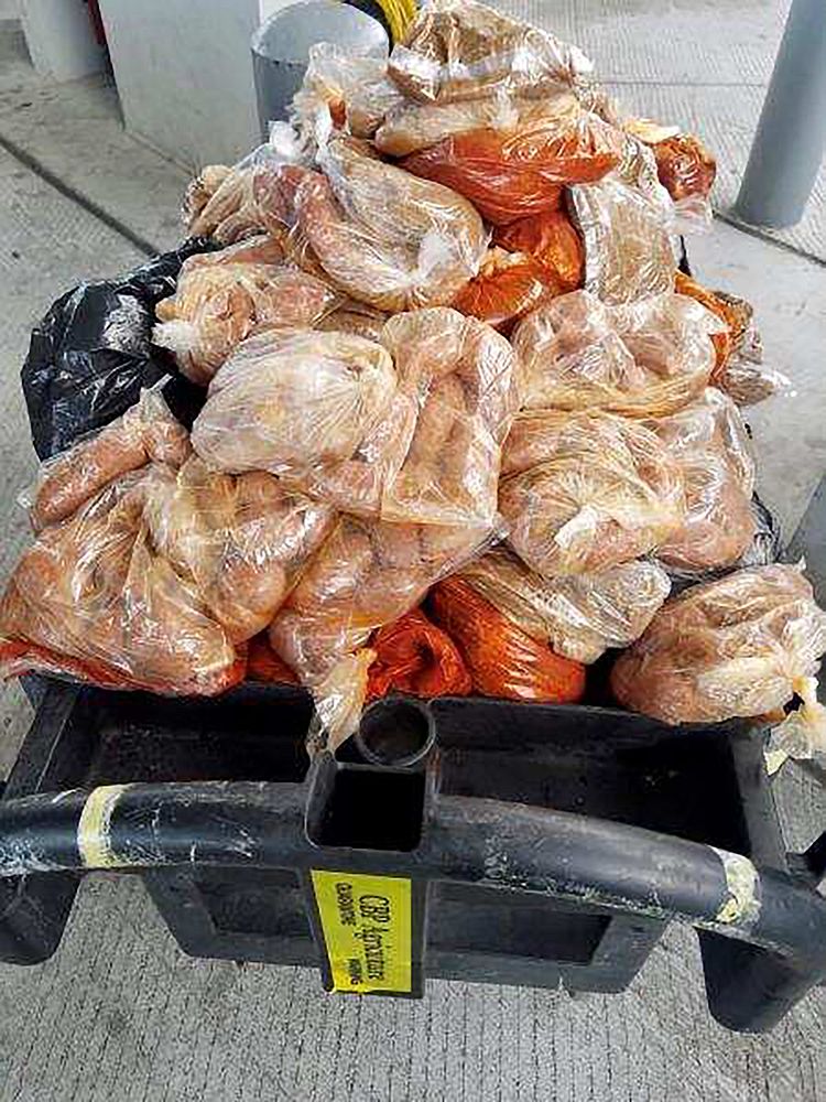 CBP Uncovers 201 Pounds of Pork in Engine Compartment; Agriculture Specialists Issue $1,000 Civil Penalty at Laredo Port of…