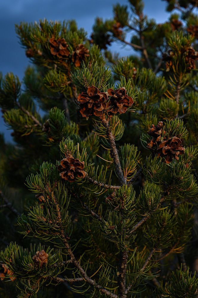 Taos, New Mexico. Scenic image Free Photo rawpixel