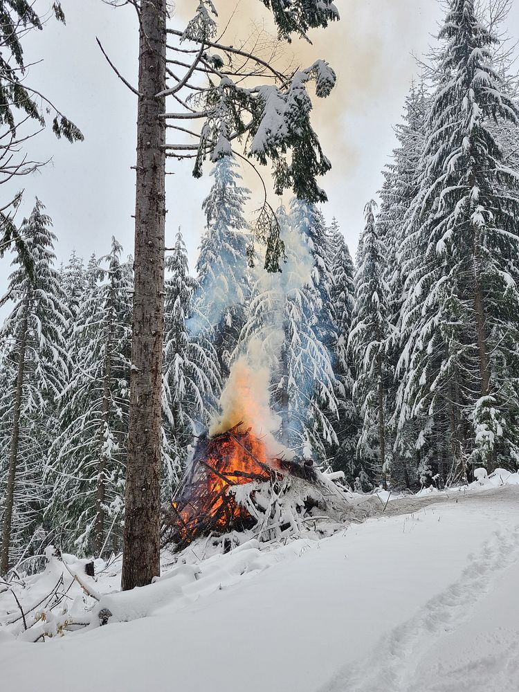 Pile burning on the Gifford Pinchot National Forest on Nove 30, 2022. Snowy conditions reduce the risk of fires escaping…