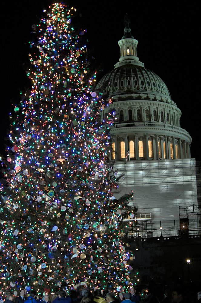 The U.S. Capitol Christmas Tree lighting Ceremony at the west lawn of the Capitol Building in Washington DC, November 29…
