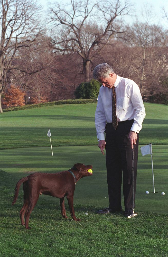 Photograph of President William Jefferson Clinton Playing with Buddy the Dog on the Putting Green on the South Lawn:…