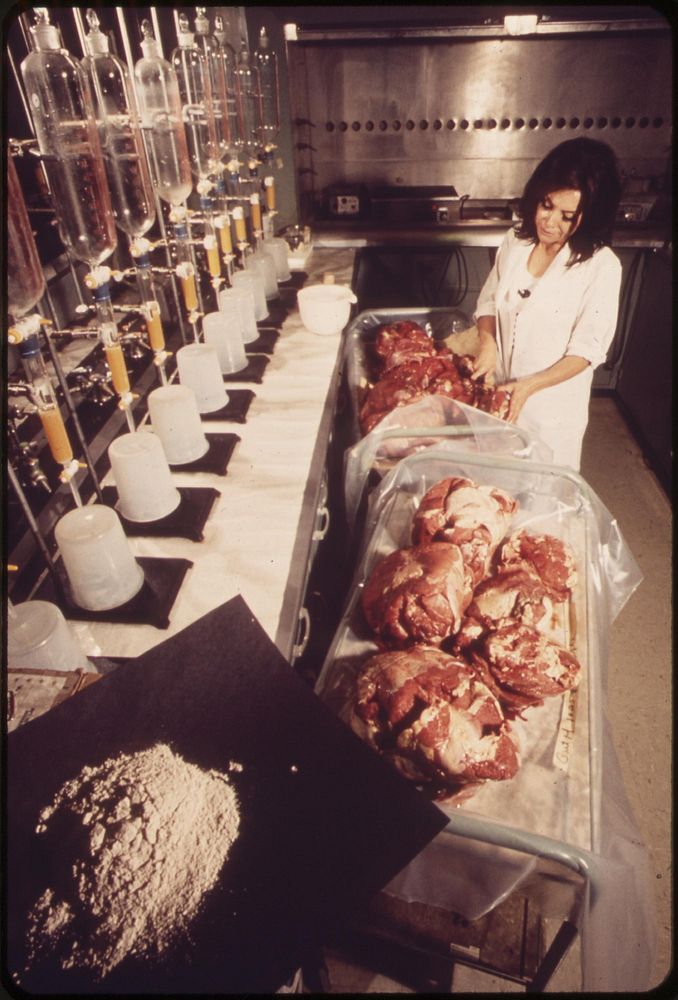 From red meat to ash--a four week laboratory procedure for measuring gamma radiation at EPA's Las Vegas National Research…