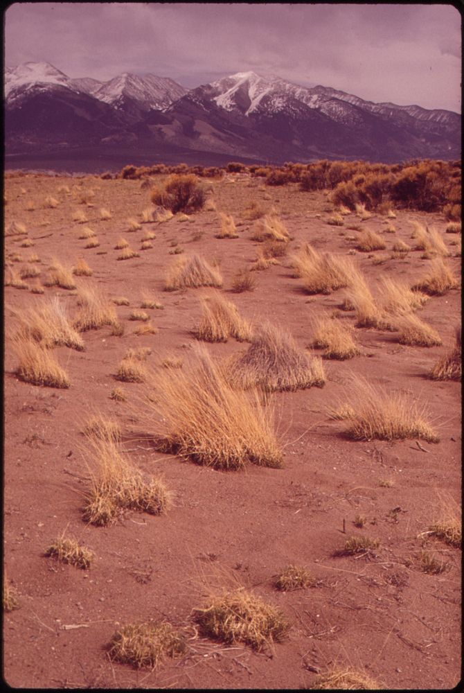 Grass mounds, 05/1972. Photographer: Norton, Boyd. Original public domain image from Flickr