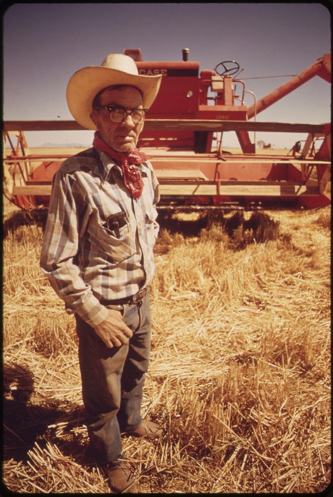 Harvesting wheat in the Palo Verde Valley, May 1972. Photographer: O'Rear, Charles. Original public domain image from Flickr