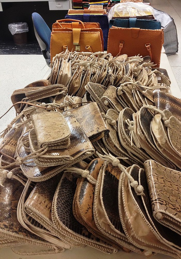 CBP Catches Elephant Meat, Dead Primate, Exotic Animal Skins at LAX